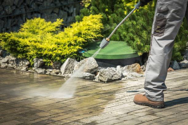 Best Dumpster Area Cleaning  in Payette, ID
